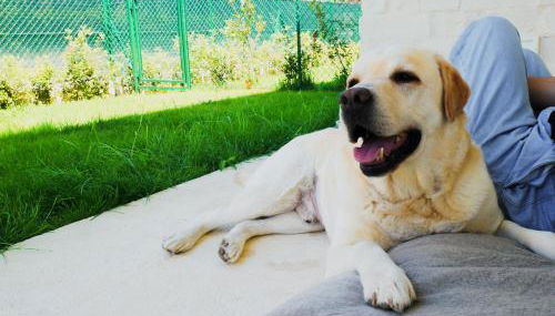 Borgopetra Resort Numana - Foto 2