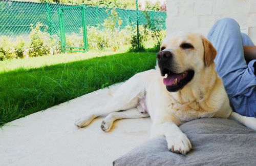 Borgopetra Resort Numana - Foto 2