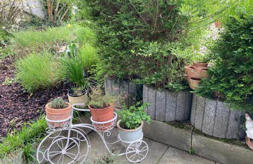 Geräumige Wohnung bei Basel - Foto 7