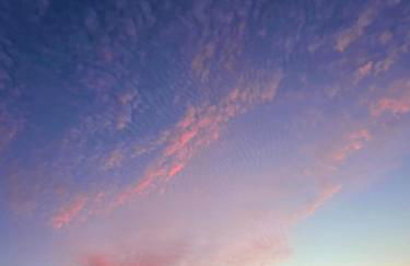 Amber Skies Seafront Retreat - Photo 10