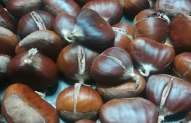 Historic Farmhouse Casa Del Chiodo - Foto 25