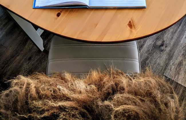 Nordic Natura - Foto 19