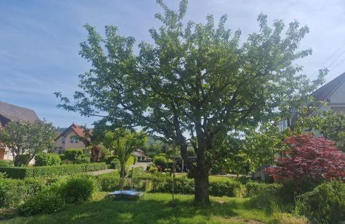 Schöne Wohnung mit Terrasse nahe Schweizer Grenze - Foto 23