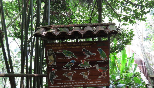 Aprendiendo de la fauna local