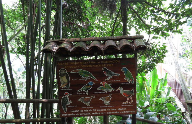 Excursão ao Jardim Botânico do Quindío - Foto 5