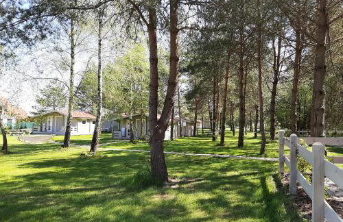 Osada Wejsuny - Foto 13