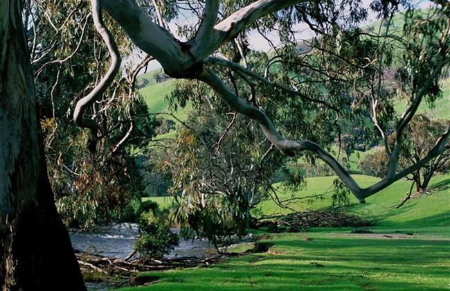 Elm Cottage - Foto 25