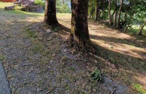 Casetta immersa nella natura - Foto 10