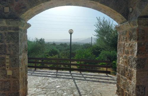 homonatura petrinum - Foto 19