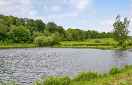 Carribber Beech - Foto 15