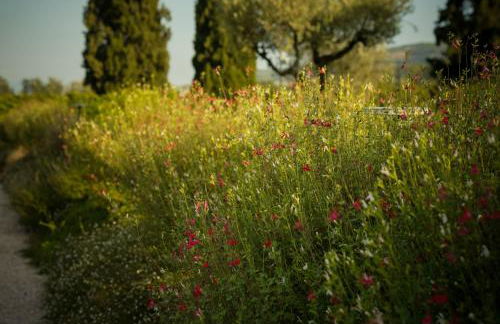 Borgo Sant'Anna - Photo 68