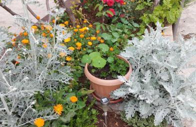 Apartments Jeličić - Foto 69