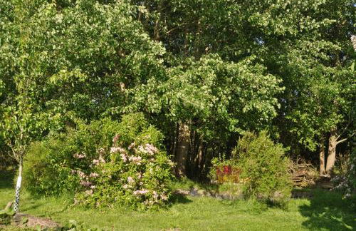 Kleiner Stern - Foto 16