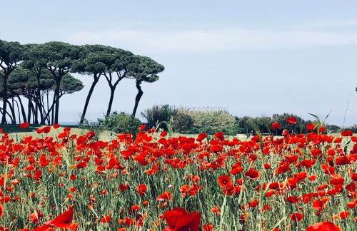 La casa nel castello e il giardino segreto - Photo 50