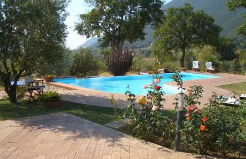 Azienda Agricola Passaro - Photo 18