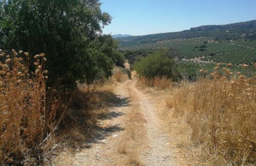 Casa rural VillaGloria - Foto 24