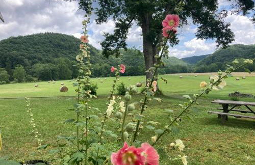 Historic cabin off I-77, views, antiques, Wi-fi, wonderful experience for 2! - Foto 50