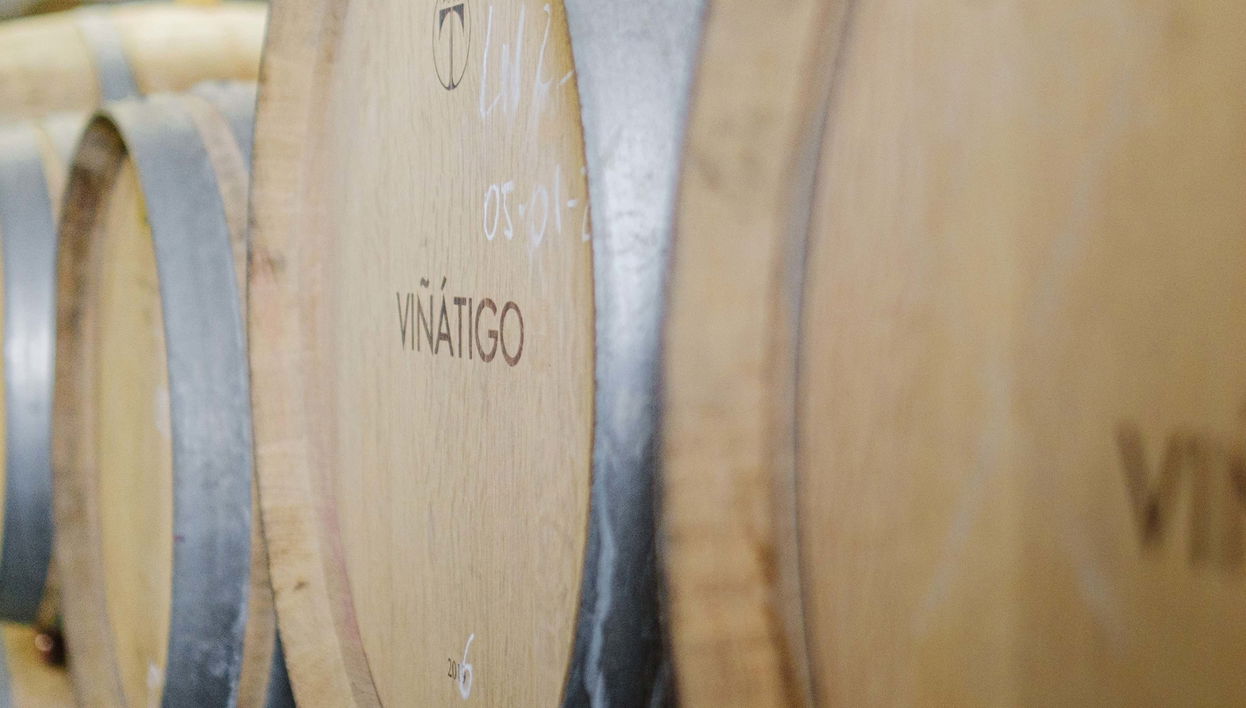 Visita a las Bodegas Viñátigo - Foto 1, Visita a las Bodegas Viñátigo