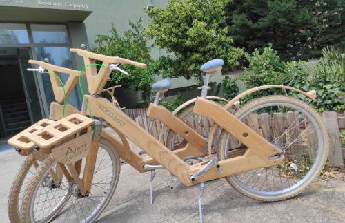 Aloni Ekies - Foto 18