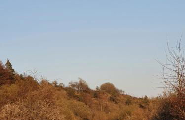 Ferienwohnung am sonnigen Haimberg - Foto 44