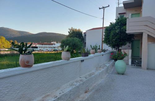 Vitamin sea Studio - Foto 23