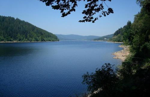 Kurhotel Schluchsee Apartment 1207 - Photo 25