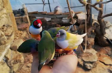 Cortijo Rica - Photo 30