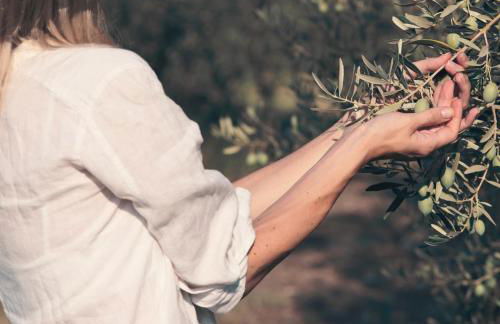 MORF - soulful suites - Foto 73