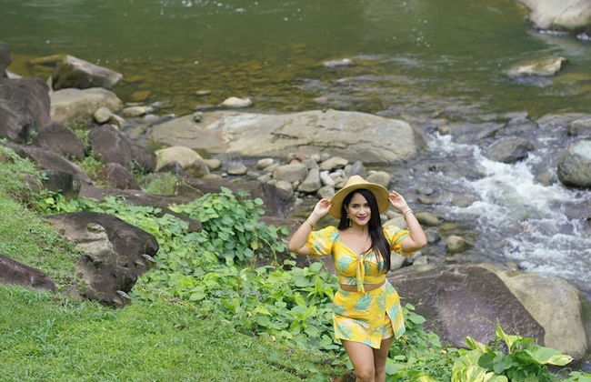 El Yunque Rainforest - Photo 28