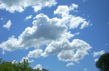 Agriturismo Le Roghete - Foto 57