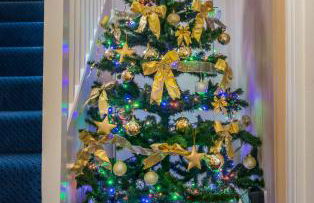 Withy Cottages - Photo 66