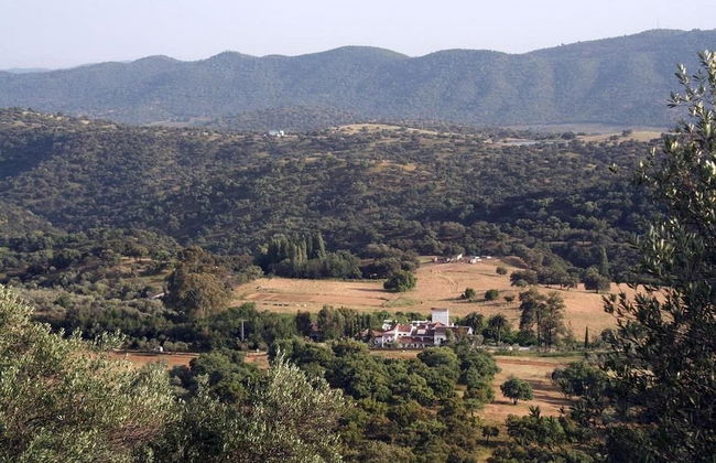 Las Navezuelas - Foto 58