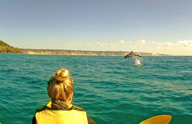 Dolphin View Kayak Tour - Photo 11