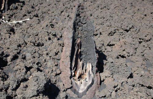Rifugio Il Ginepro dell'Etna - Foto 31