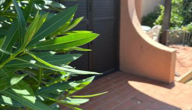 le petit paradis - Foto 2, Garden view