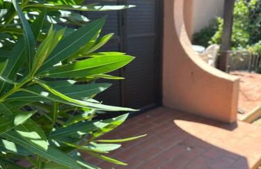 le petit paradis - Foto 2