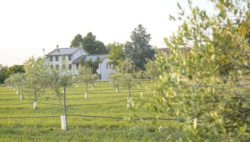 Casa di Alba - Alloggi turistici - Foto 1