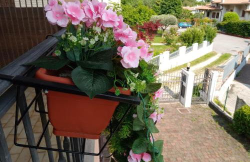 I 4 elementi - Foto 27