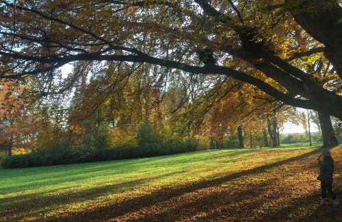 FeWo Theo 109 - Foto 59