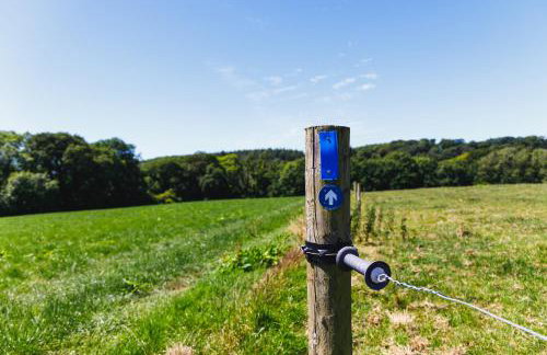 Broomhill Barns - Foto 48