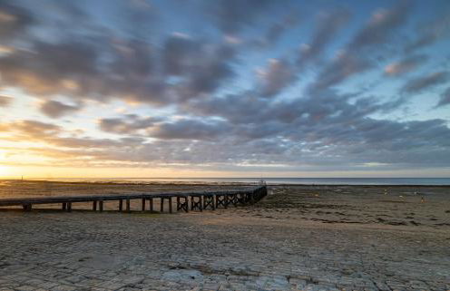 Le paille en queue - Foto 24