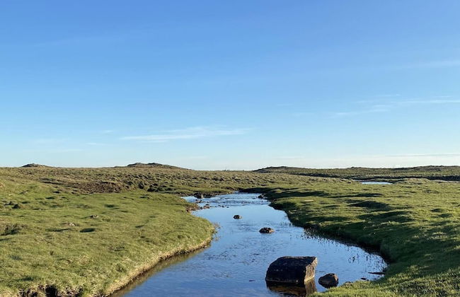 Álftártunga farm guesthouse - Foto 43