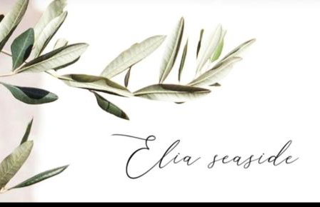 Elia Seaside Pteleos - Foto 41