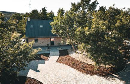 Alagoa Local - Foto 2