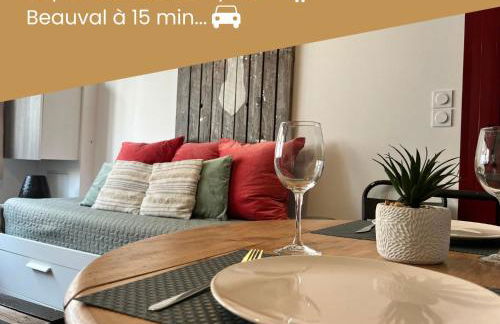 Duplex/Beauval & Châteaux - Foto 1