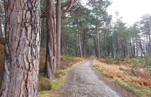 Holiday House Kinveachy - Foto 43