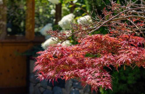 Apartments Tratter - Foto 15