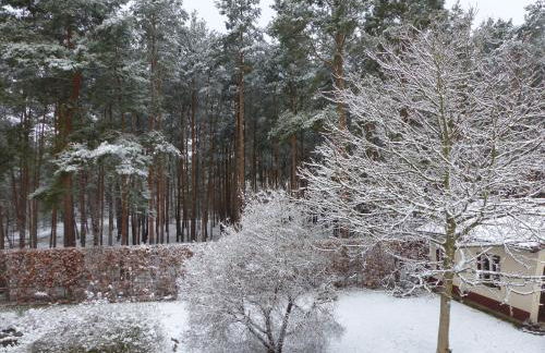 Amselgarten - Foto 63