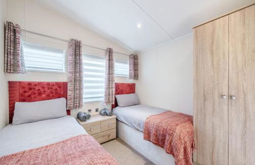 Red Robin - Uk49581 - Foto 12