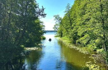 Gniazdo Sikorek - Foto 25